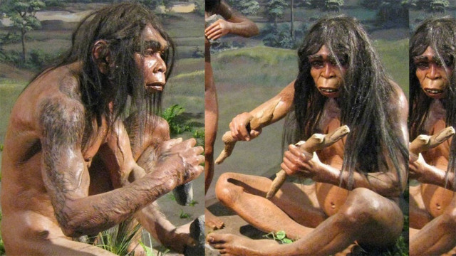 Manusia Purba di Indonesia: Sejarah Penemuan dan Jenis-Jenisnya yang Mengubah Dunia Arkeologi